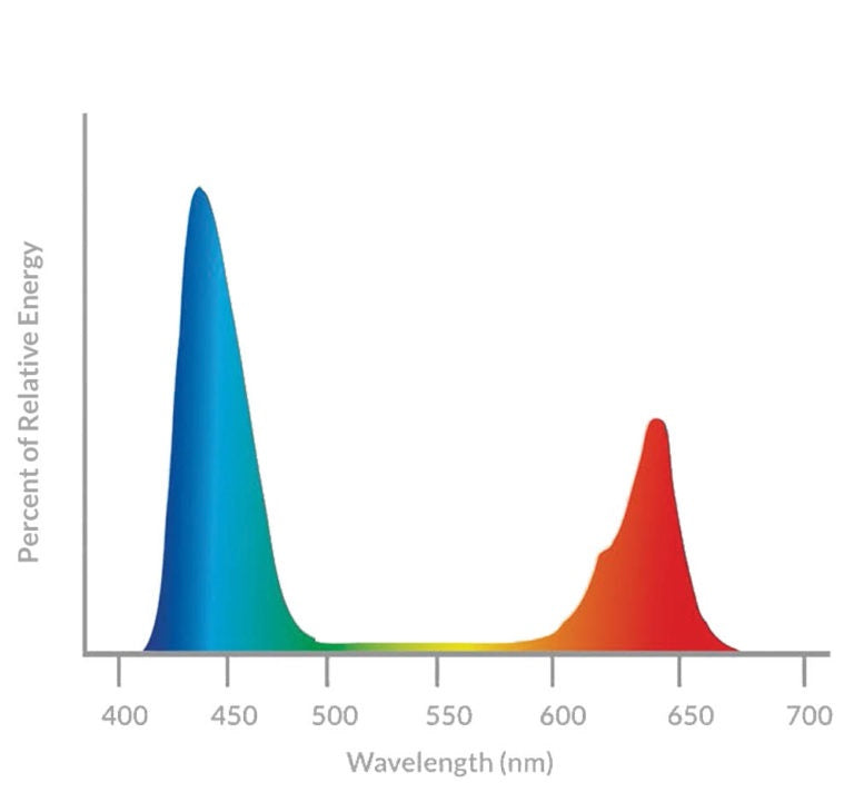 Spectrum Output