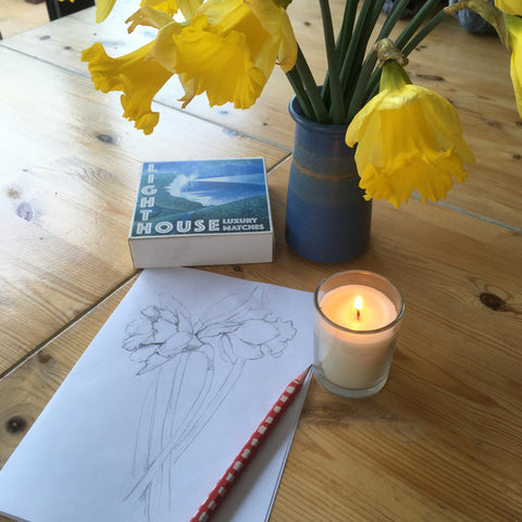 Sketch of daffodils 