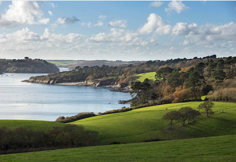 View across the river Helford