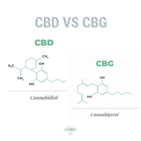 Difference CBD et CBG