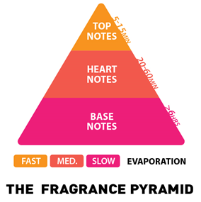 Fragrance Pyramid