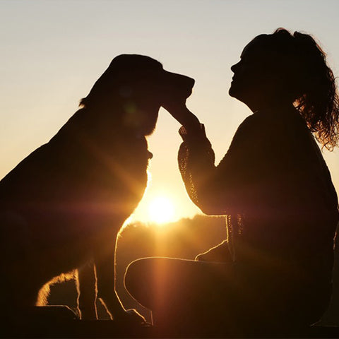 Sunset behind a dog and a woman