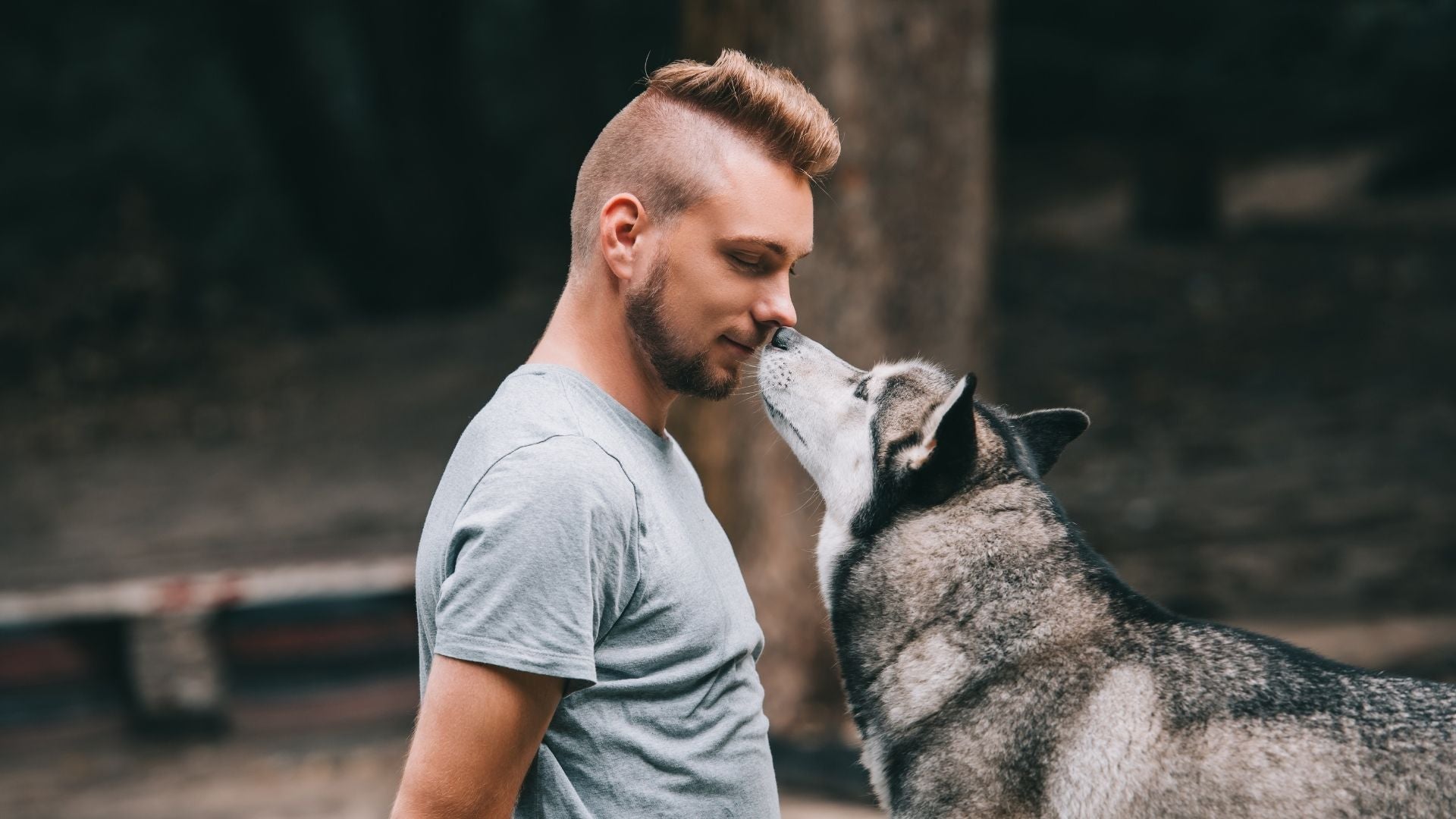 Kommunikasjon med hunden - Pawesomeday.no