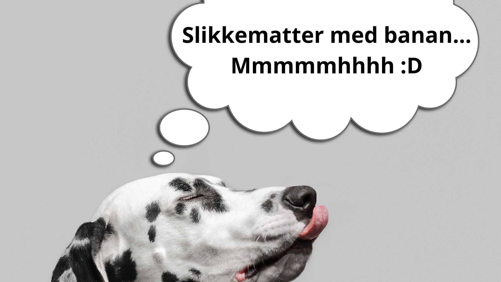 Slikkematte med banan for hund