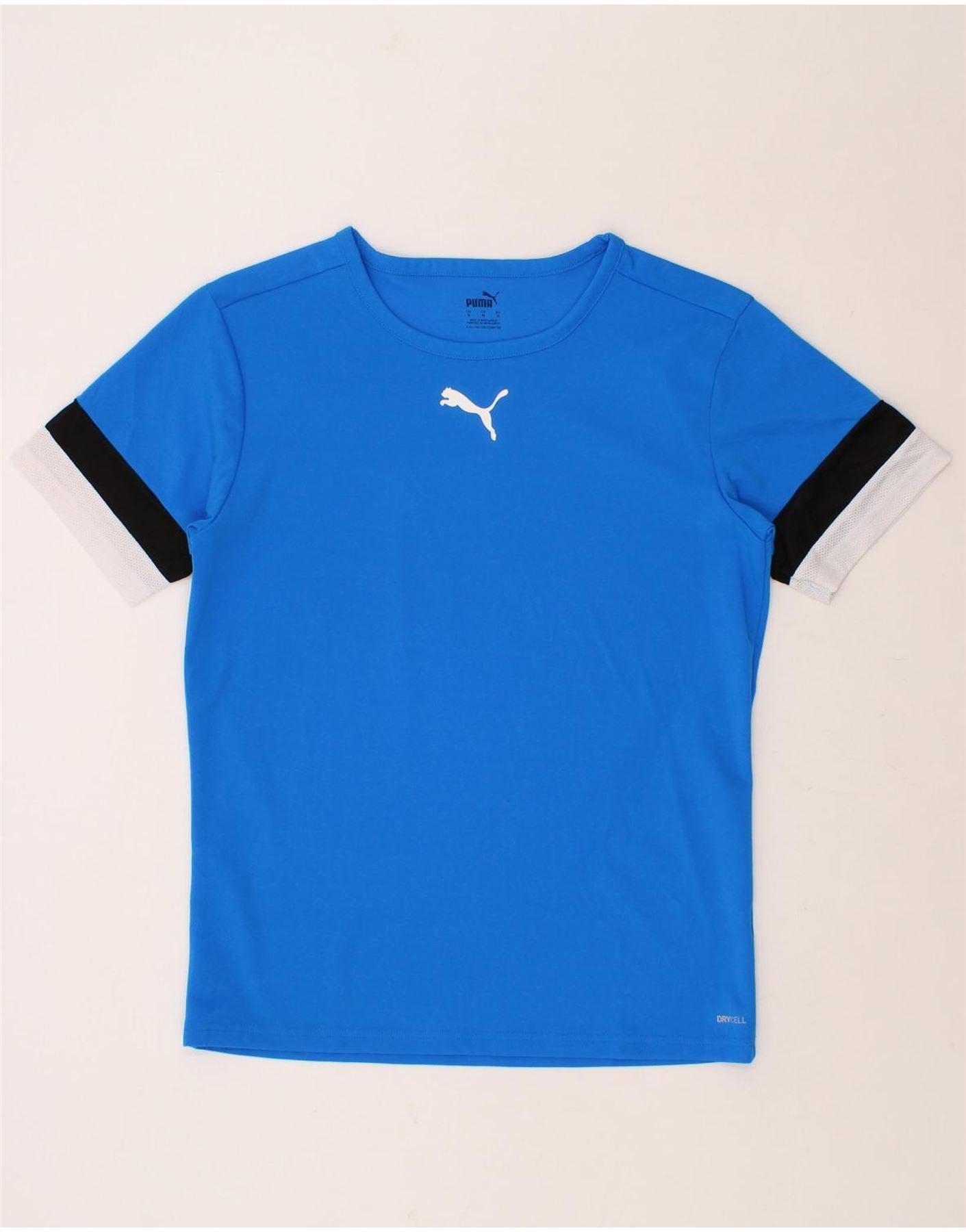 Image of PUMA Mens T-Shirt Top Medium Blue