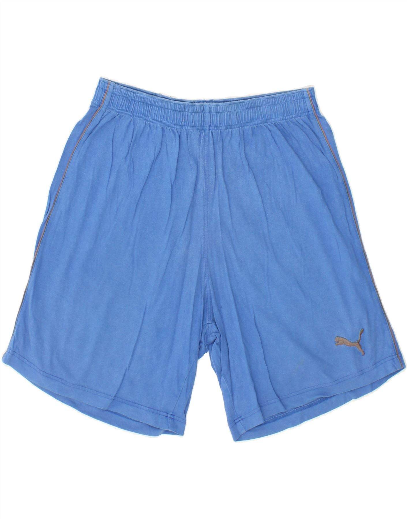 Image of PUMA Mens Sport Shorts Large Blue