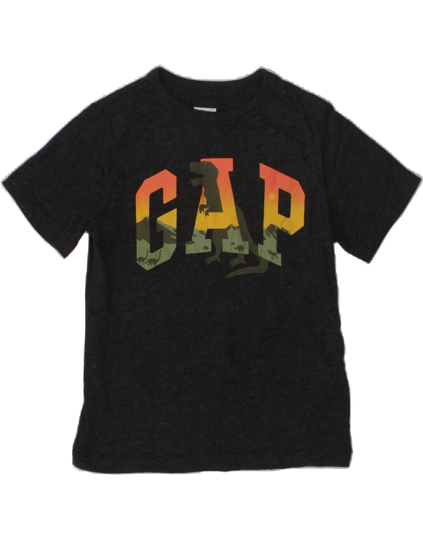image of GAP Boys Petit Graphic T-Shirt Top 4-5 Years Grey