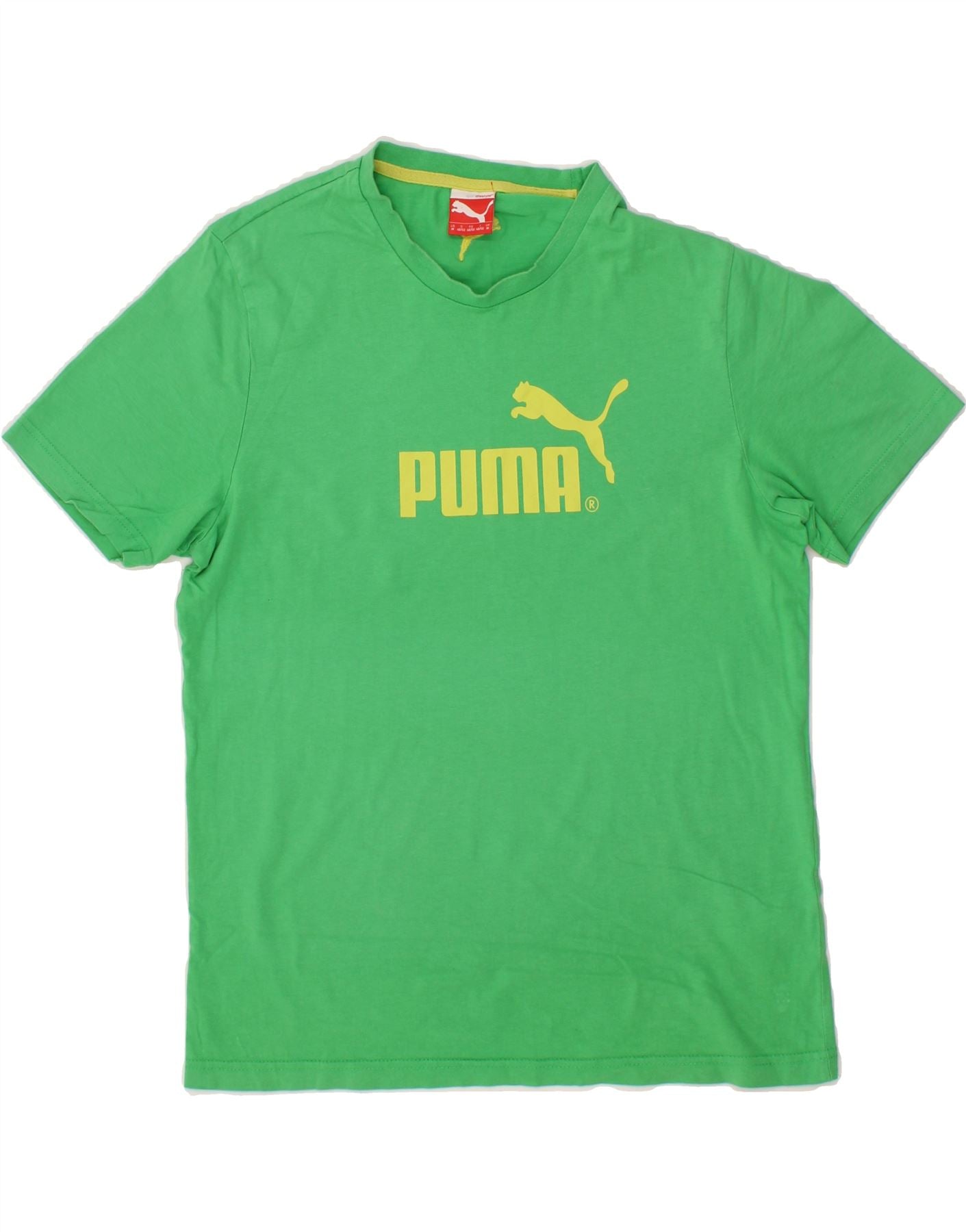 image of PUMA Mens Graphic T-Shirt Top Medium Green