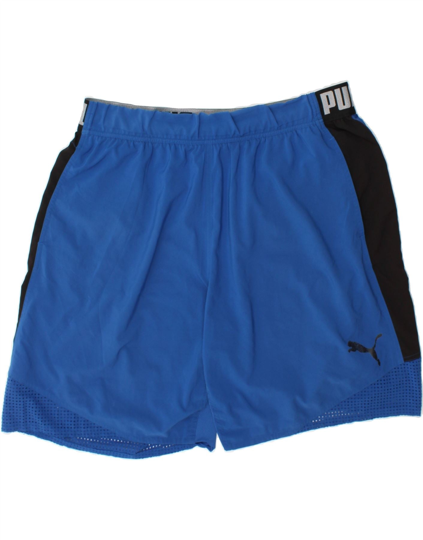 image of PUMA Mens Graphic Sport Shorts 2XL Blue Colourblock Polyester