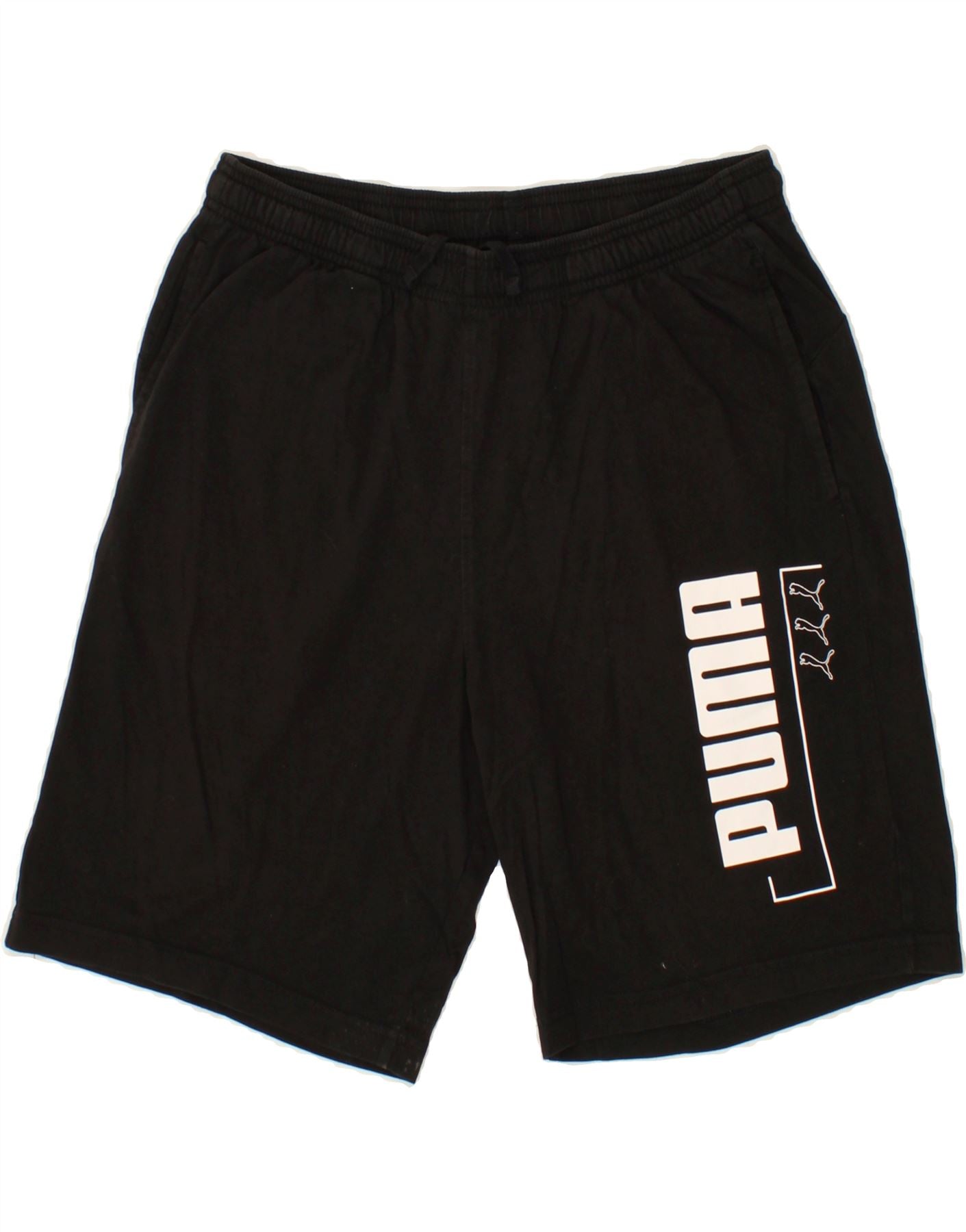 image of PUMA Mens Graphic Sport Shorts Large Black