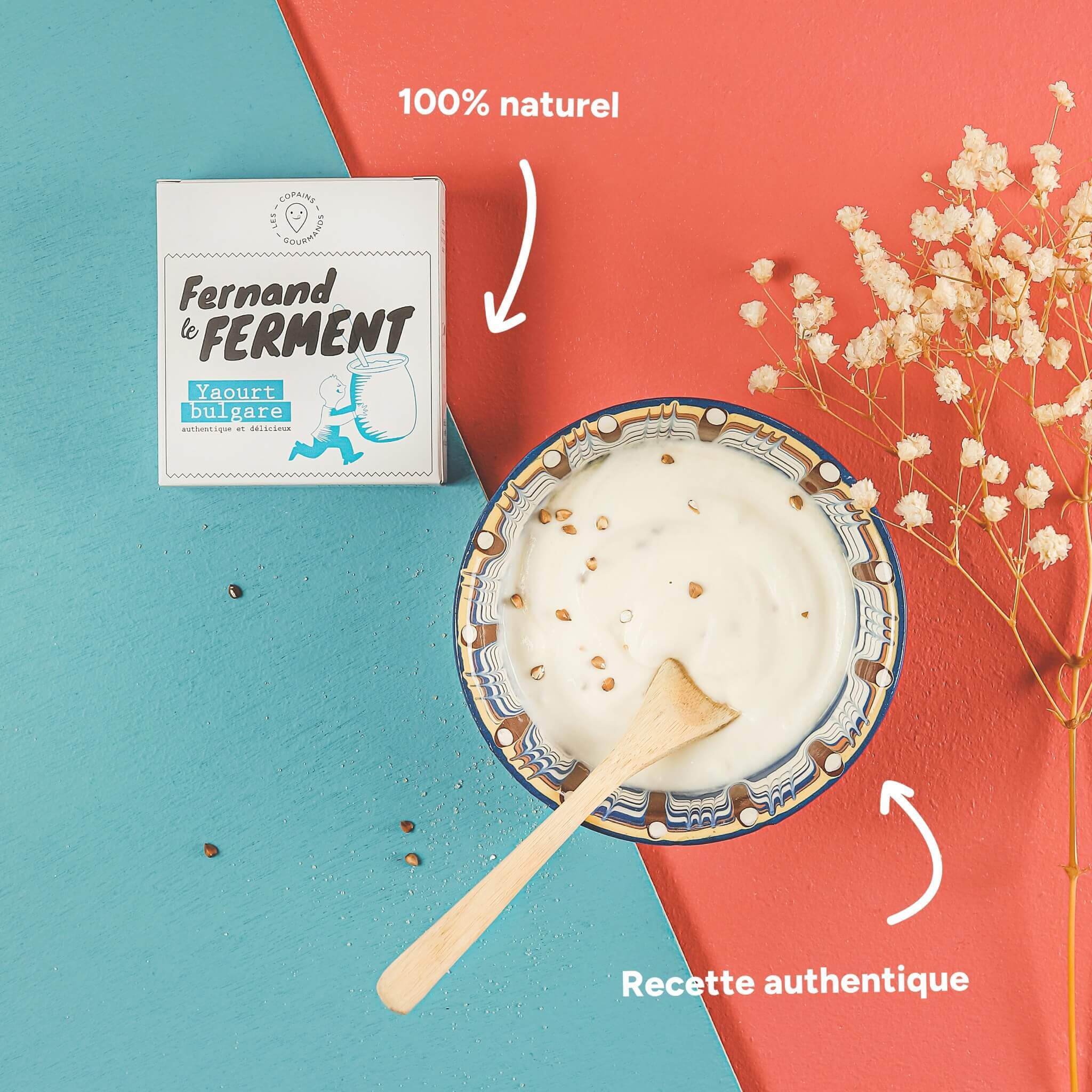 Fernand le Ferment, ferments lactiques pour yaourt bulgare maison (10  sachets)