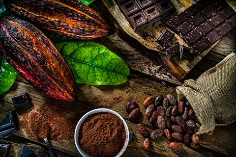 Picture of cacao