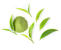 Picture of green tea extract