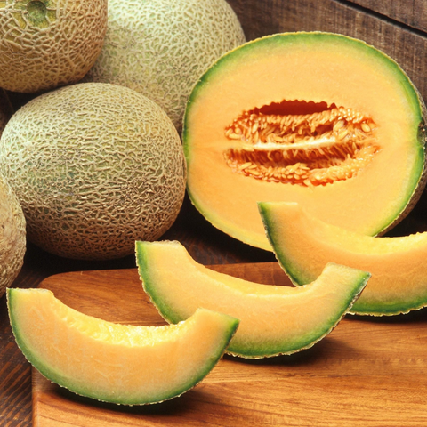 Can dogs eat cantaloupe? Everything there is to know 