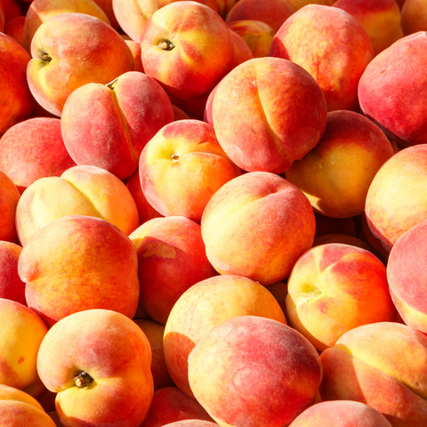 Can dogs eat peaches? Everything there is to know 