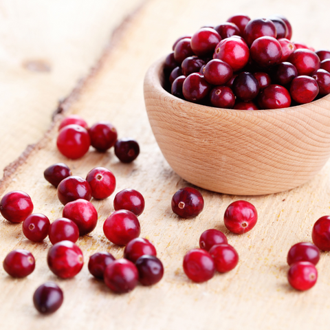 Can dogs eat cranberries? Everything there is to know