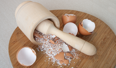 can dogs eat egg shells and eggs