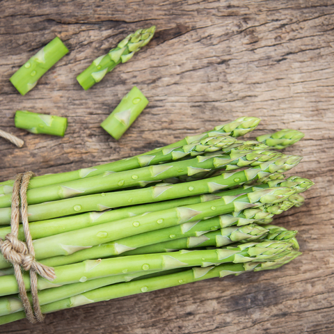 Asparagus and its benefits towards dog health
