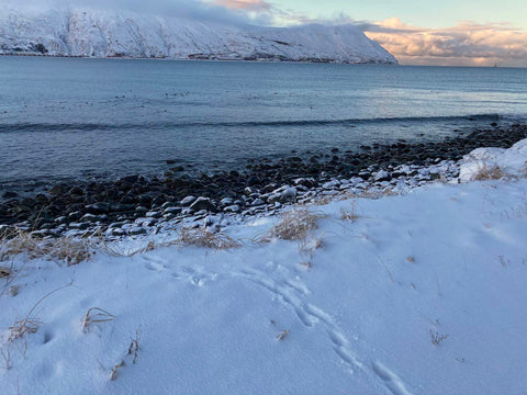 Snow on the beach and snow covered hill on Unalaska Island, Mari in the sky, The Gentle Tarot, Photo by Mariza Aparicio-Tovar