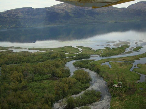 aerial photo of Dog Salmon field camp, the river and cabin, Mari in the sky, The Gentle Tarot, Photo by Mariza Aparicio-Tovar