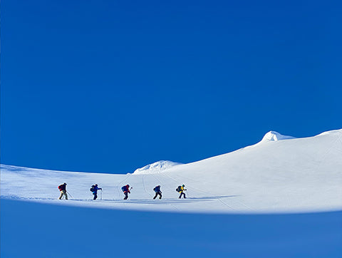 Shane Robinson Guiding