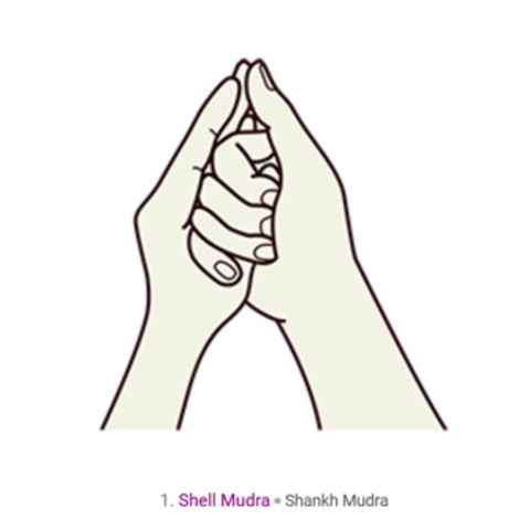 A drawn picture of hands in shankha mudra, shell mudra. the right fingers are wrapped around the left thumb and the right thumb and left middle finger are touching.