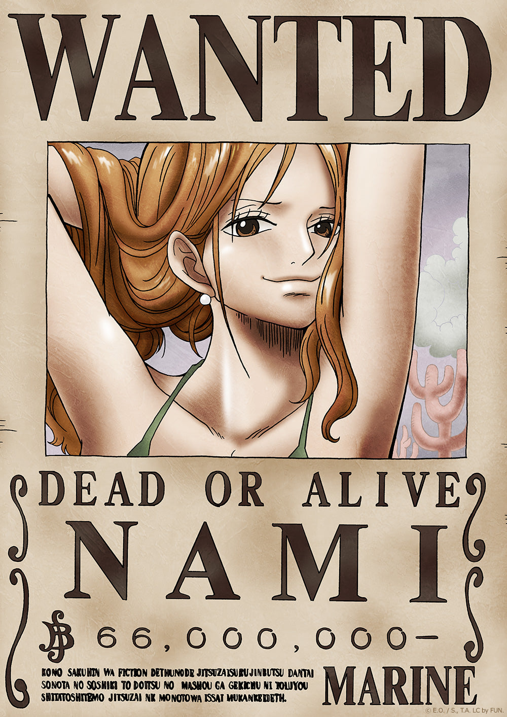 one-piece-wanted-dead-or-alive-poster-nami-official-licensed