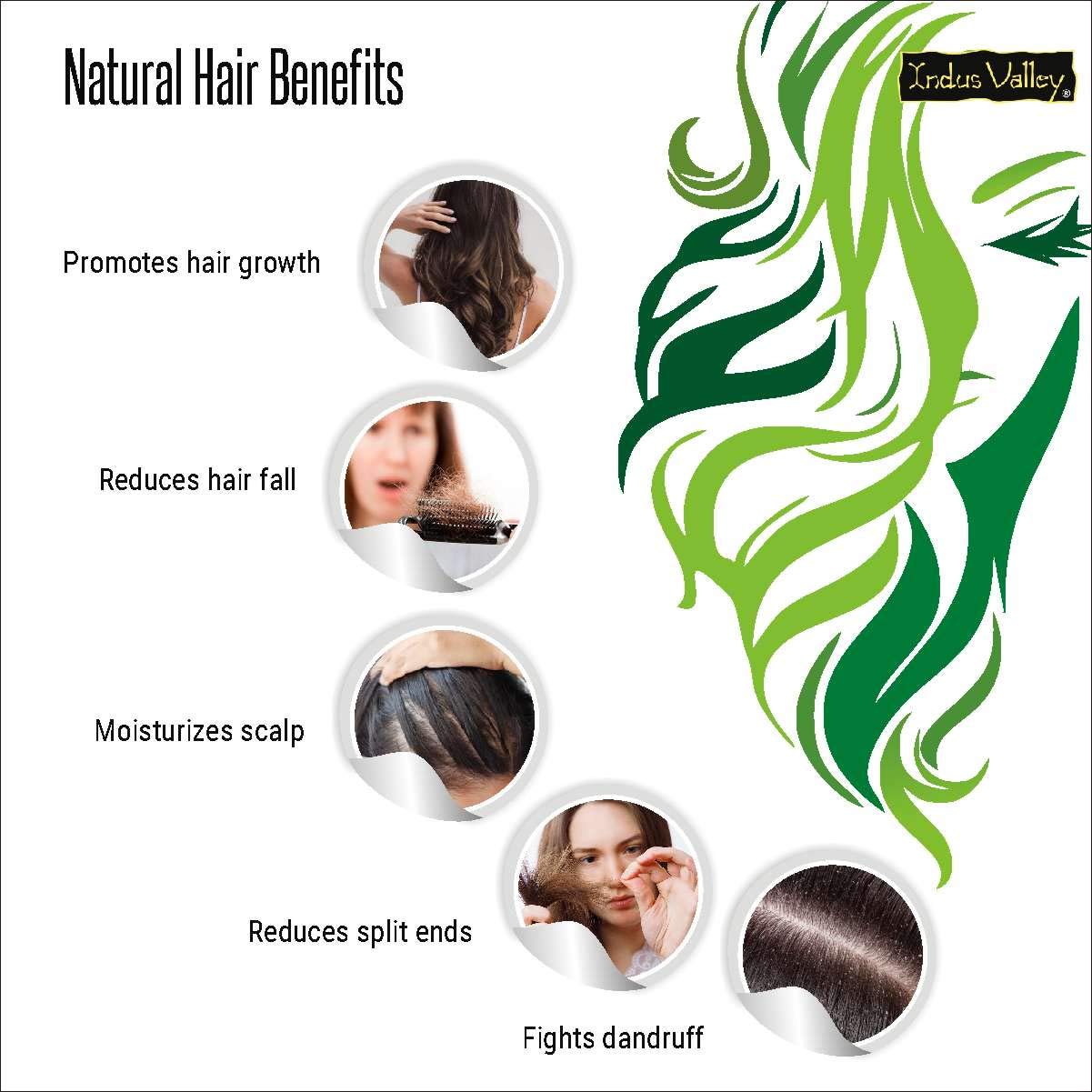 Bhringraj Powder for hair Growth organic bhringraj powder for hair  growthBhringaraj