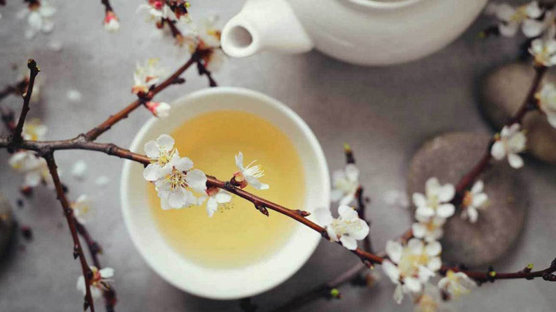 About White Tea