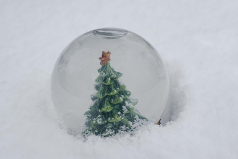 Snow Globes