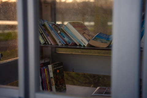 Cozy Reading Nooks