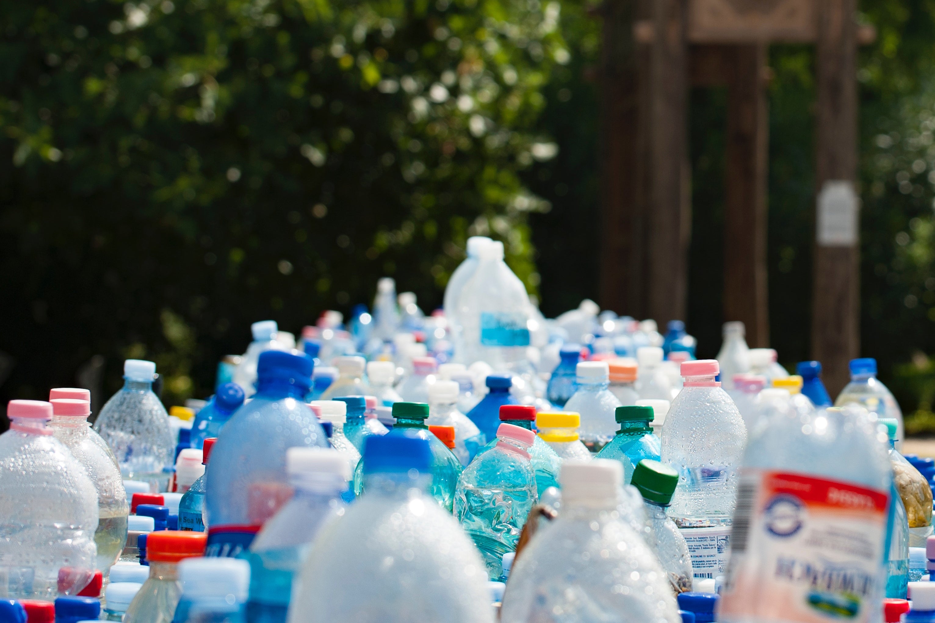 Assorted Plastic Bottles