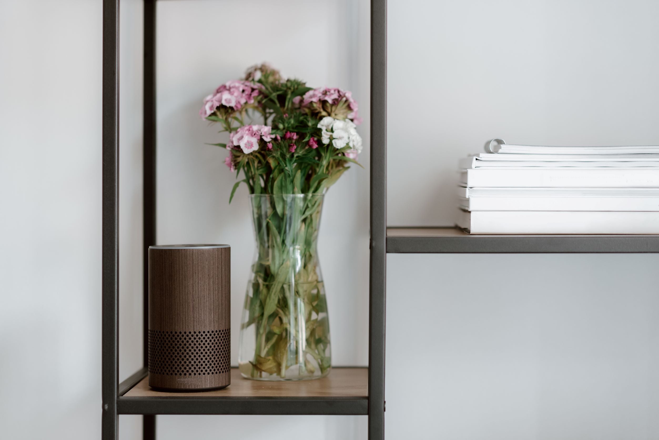 A Smart Technology Brown Speaker on the Shelves