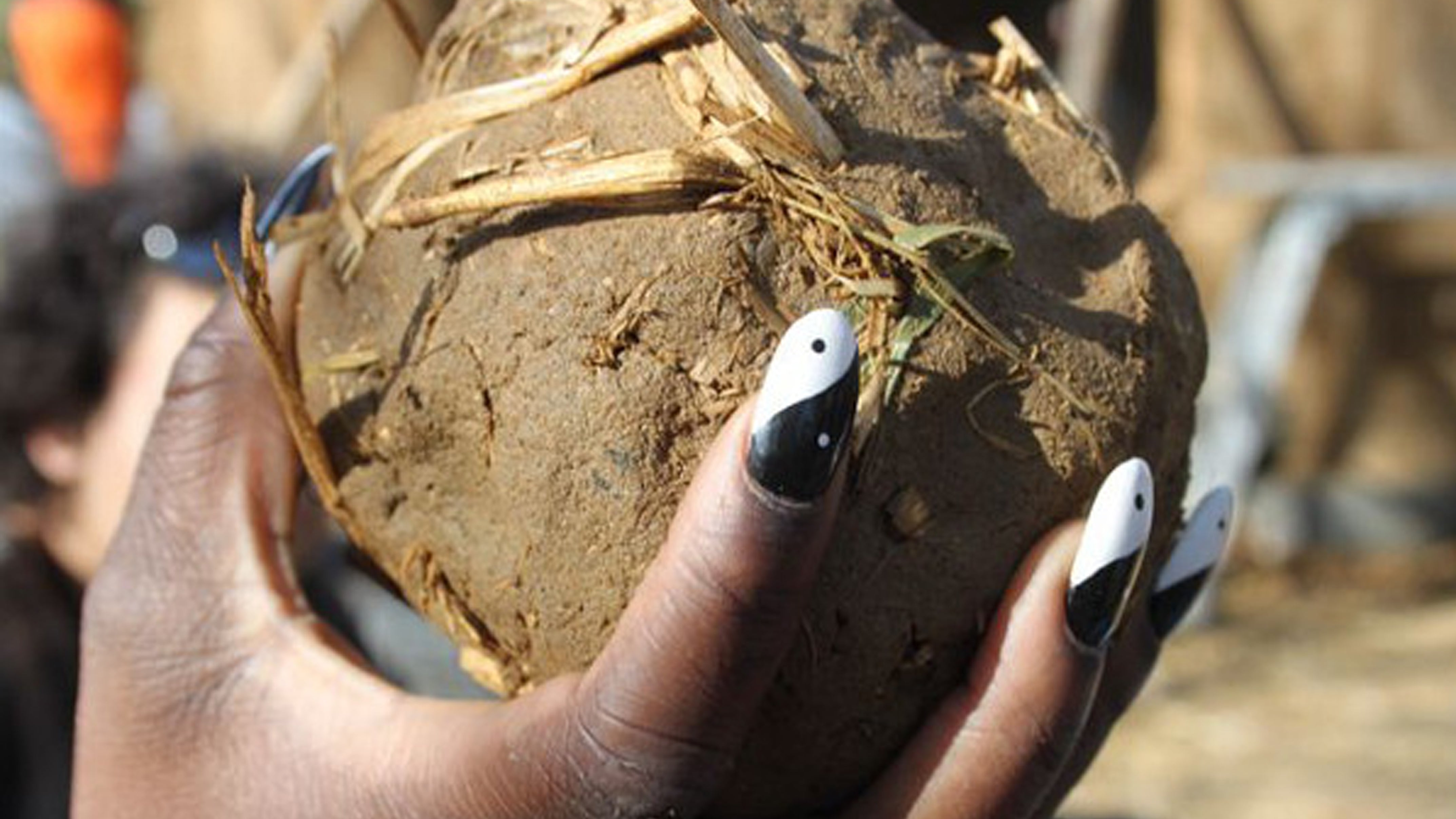 Woman holding cob