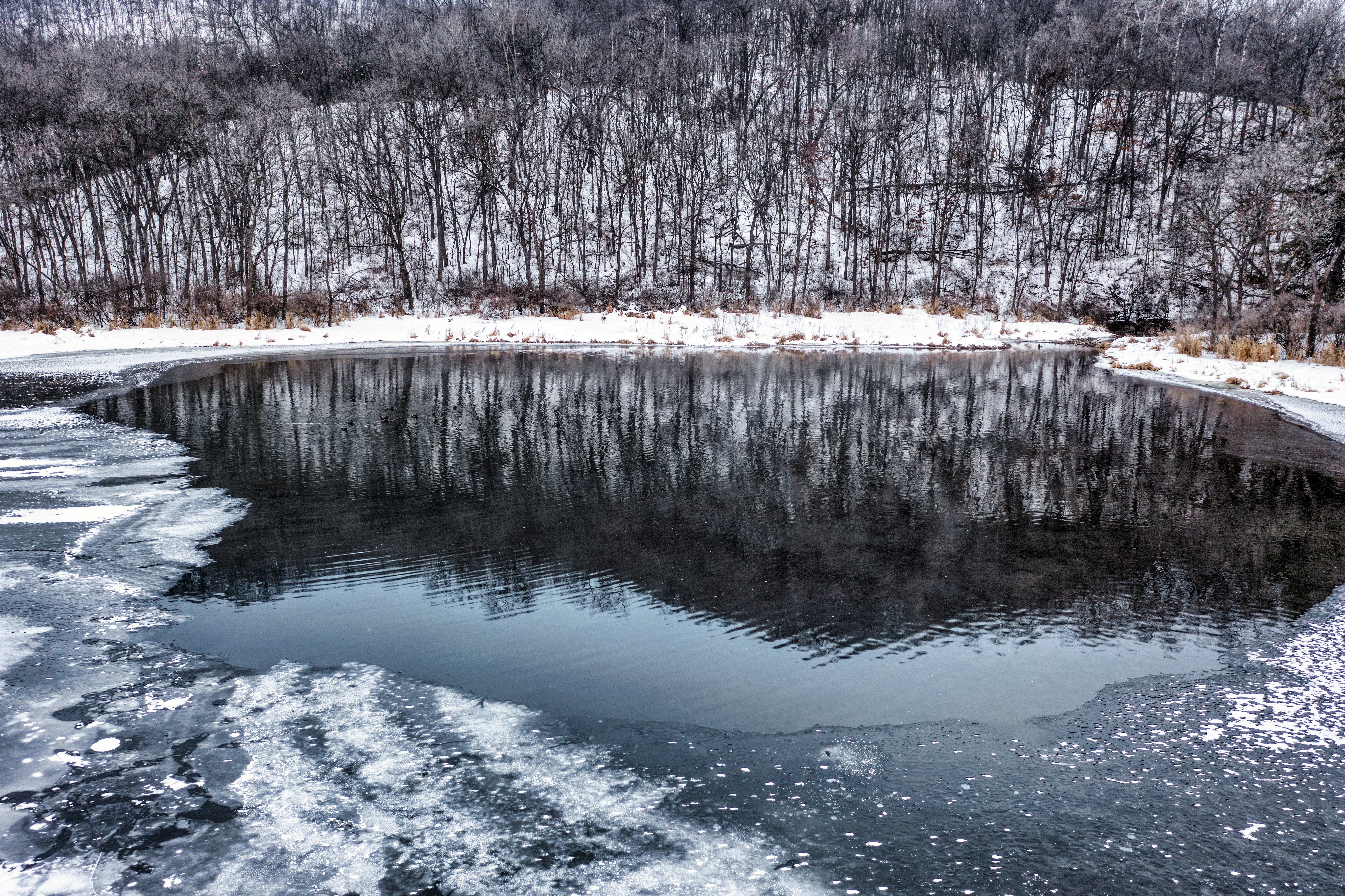 Lake in Winter