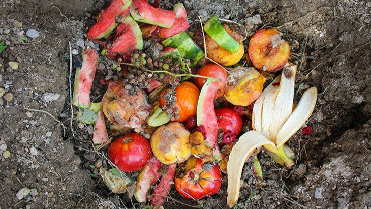 compost kitchen waste