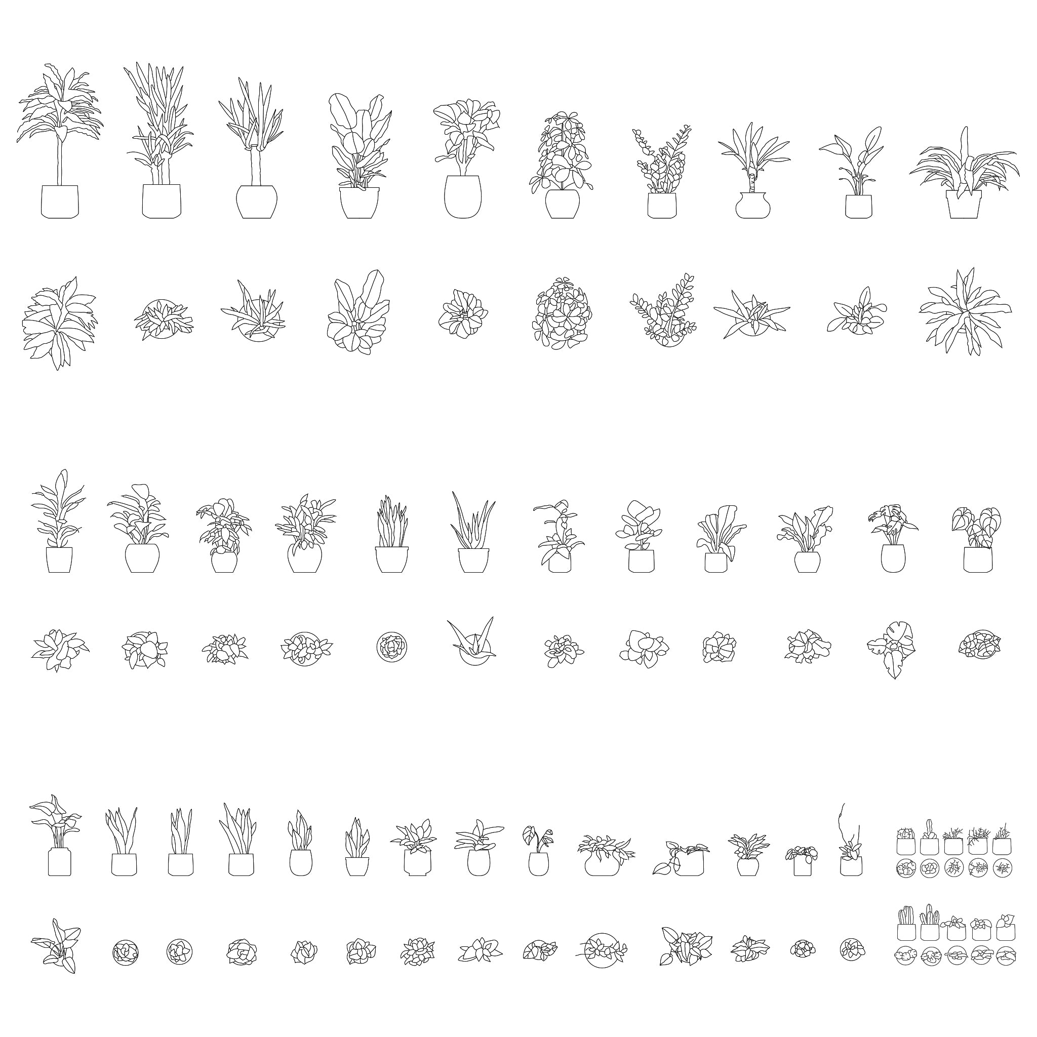 Plants Elevation Dwg Cancro Jp   CADDrawingofpottedplants 