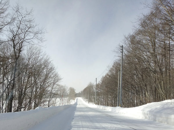 岩手県八幡平の雪景色　byKAMIKATSUKI