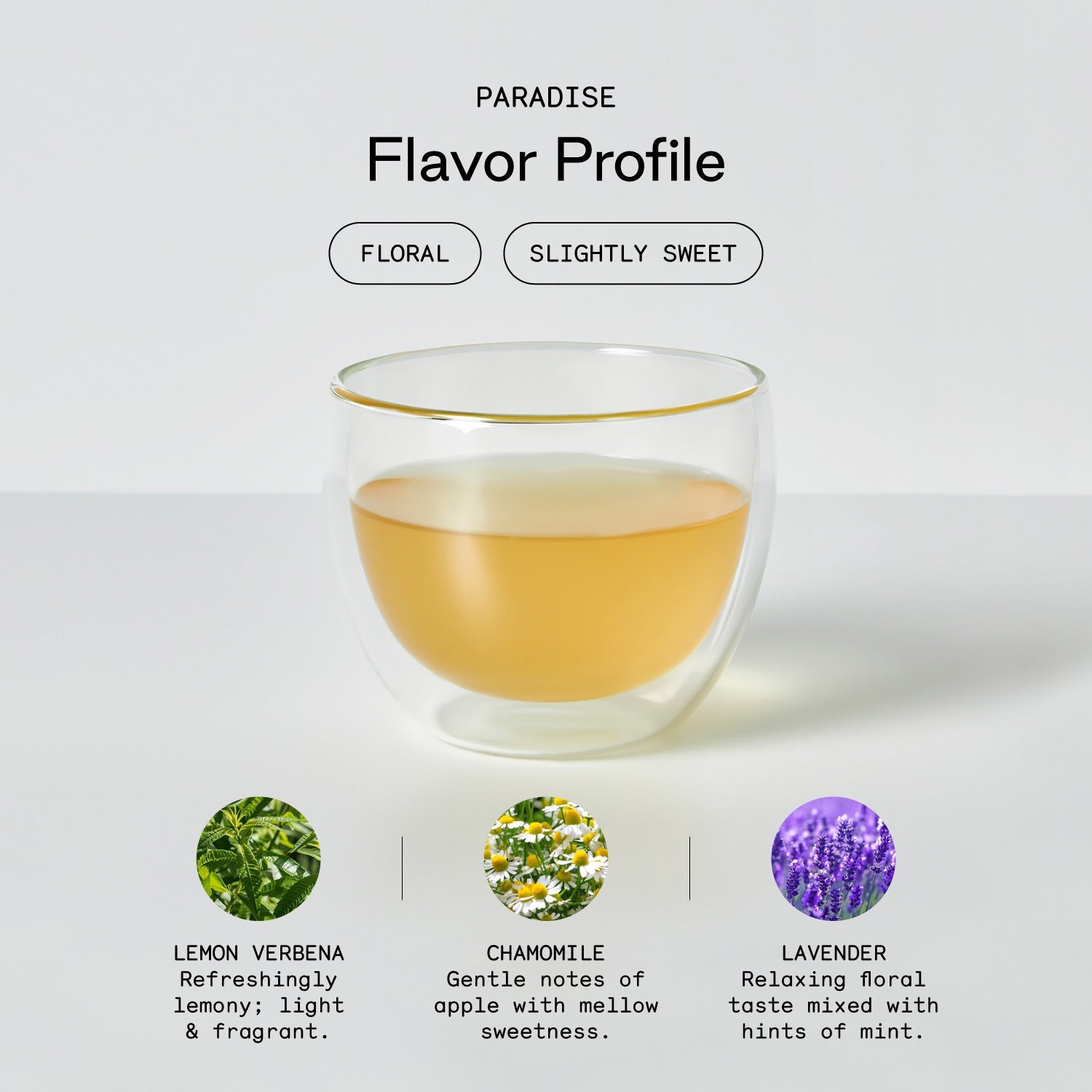 Herbal Tea Starter Kit-image-5