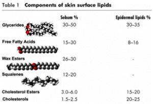 Lipidni sloj povrhnjih celic - sestava I Nona Luisa