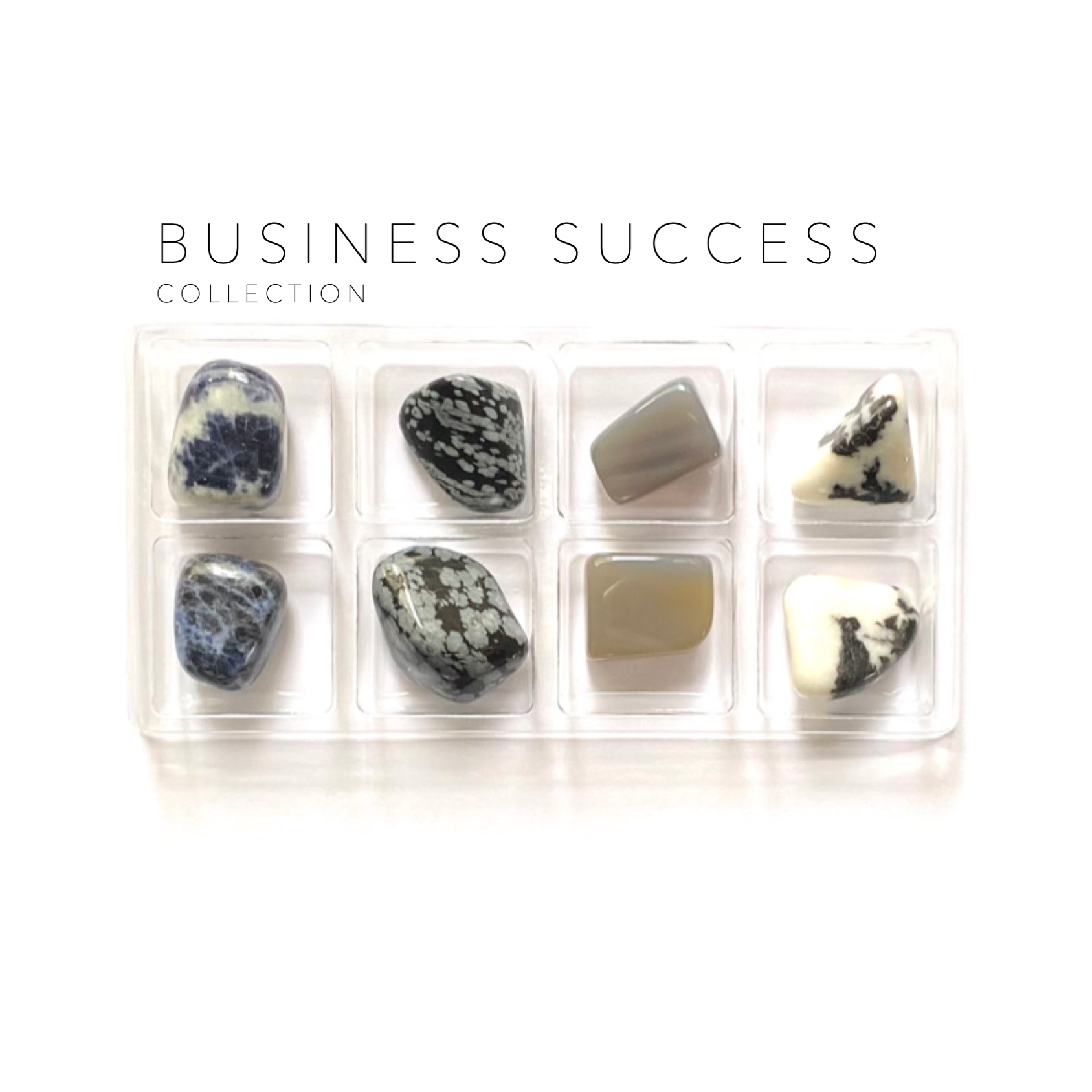 Billede af BUSINESS SUCCESS KRYSTAL KIT - - Studio Buus - StudioBuus