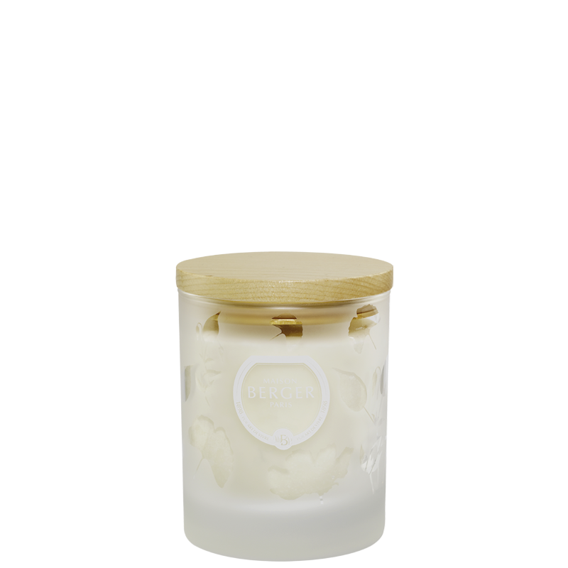 Se AROMA RELAX - DUFTLYS - Scented Candle / Duftlys - Maison Berger - StudioBuus hos StudioBuus.dk