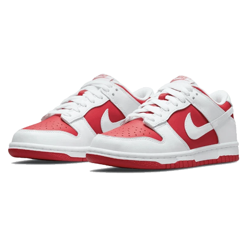 championship nike dunks