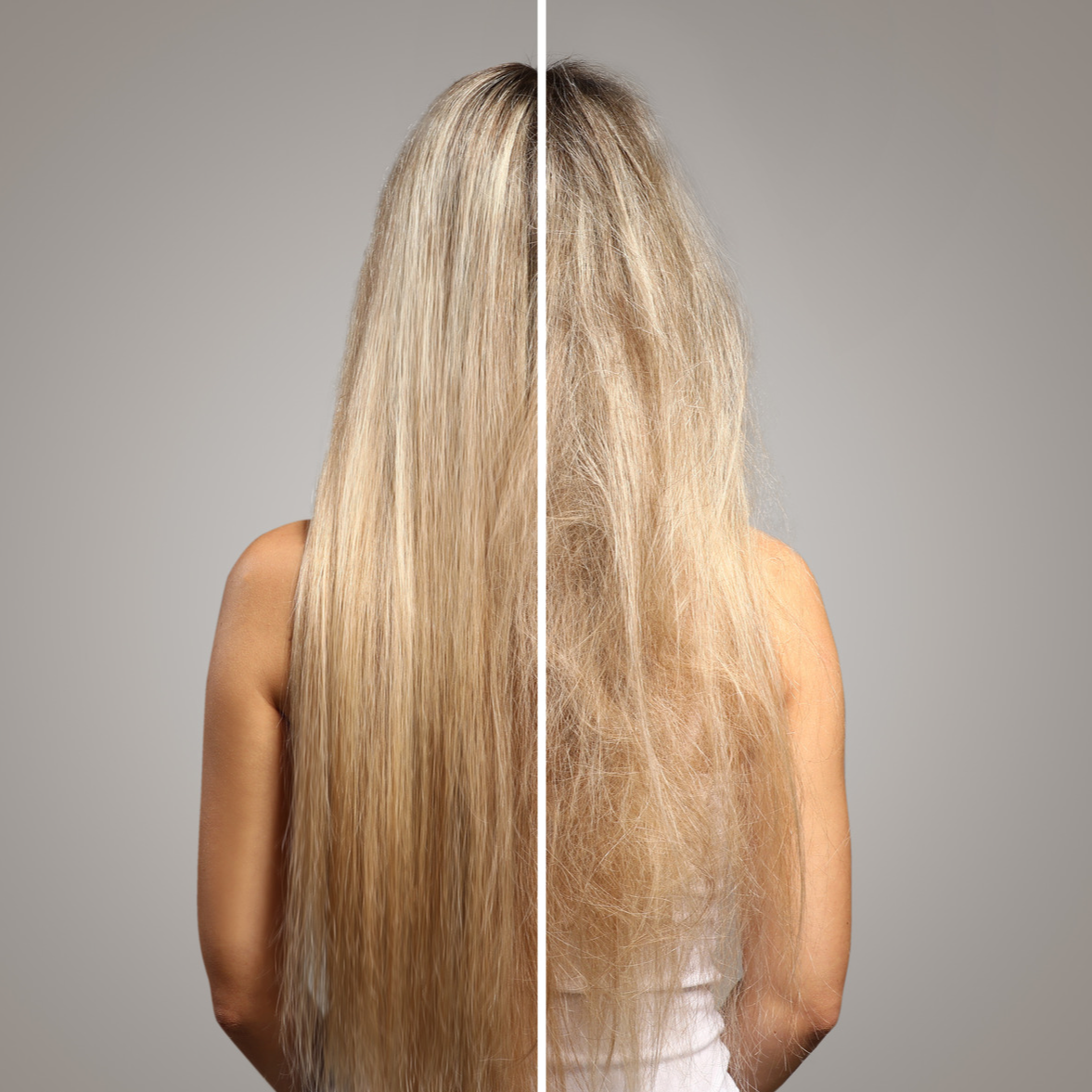 What Does Damaged Hair Look Like  Wella Professionals