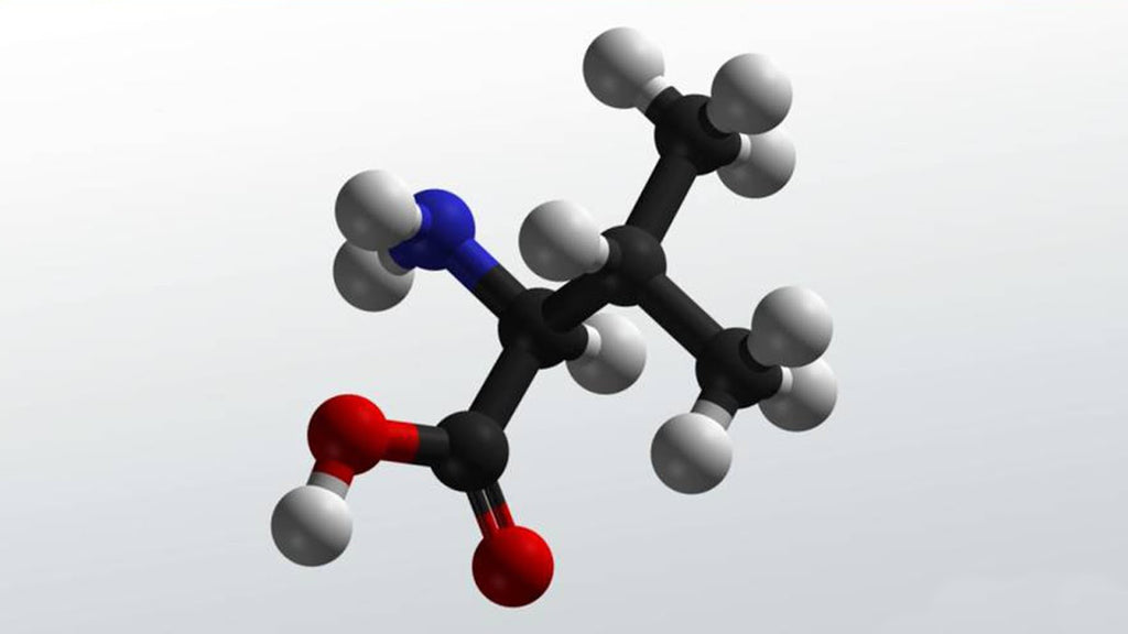 Valine Amino Acid - Amino Acids for Healthy Life