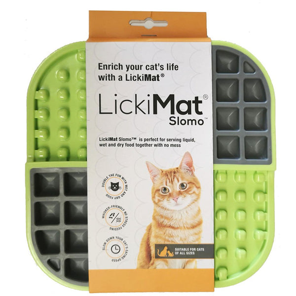 8 Best Cat Puzzle Feeders for Mealtime Enrichment - Vetstreet