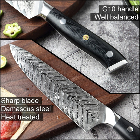 Professional Kitchen Damascus Chef Knife VG10 With Knives Cover