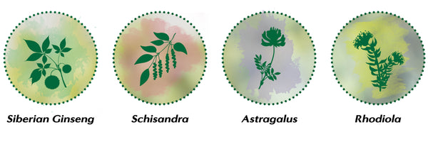 schisandra astragalus rhodiola siberian ginseng omnivegan adaptogen adaptogens vegan herbal supplement anti stress vitality