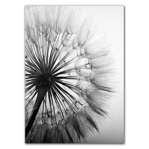 Abstract Dandelion Wall Art Canvas Painting Poster Modern Black White Life Quote Art Wall Print Picture Living Room Decor YX144