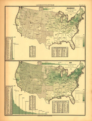 Agricultural Production (Buckwheat, Hay - 1880)
